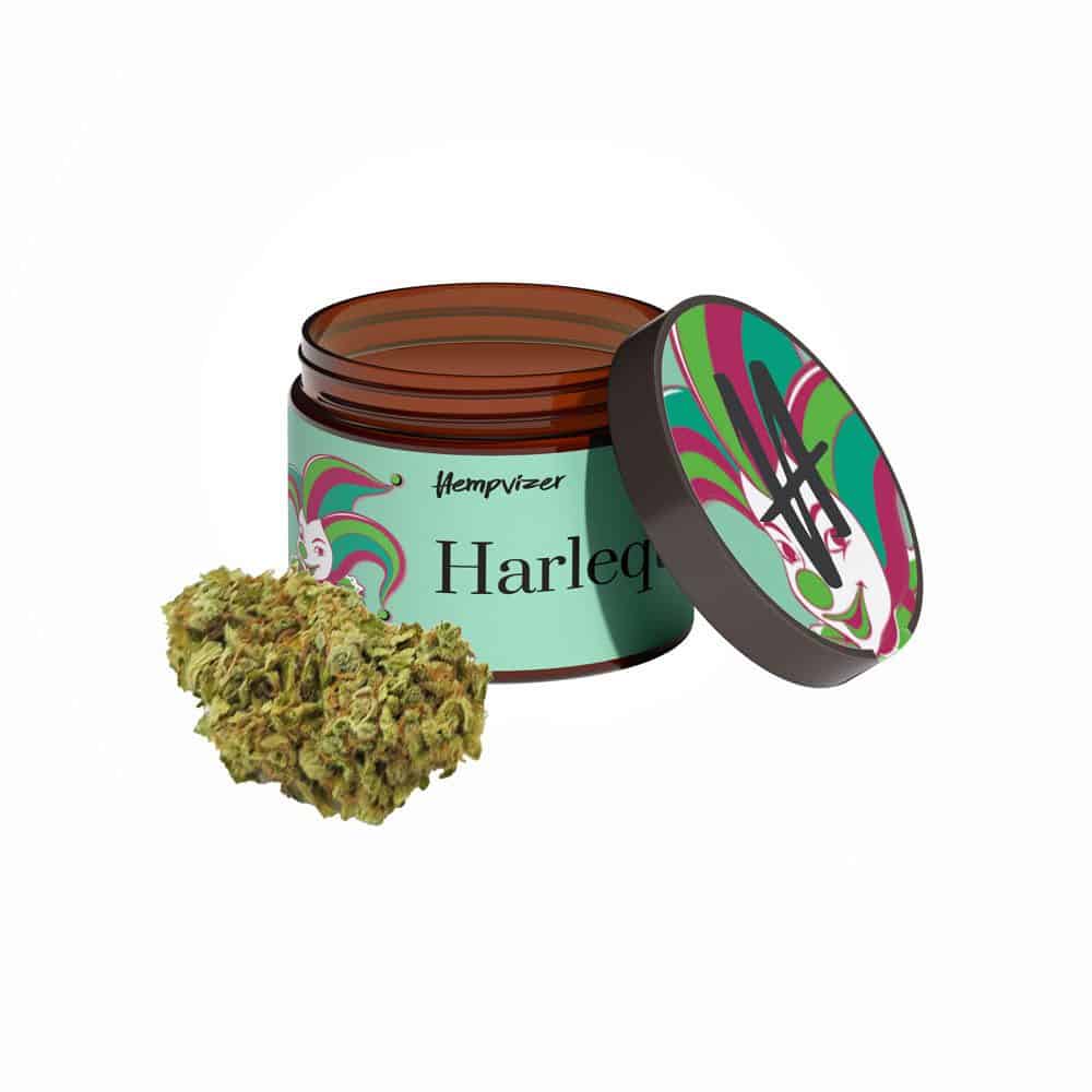 Popcorn Harlequin 5-10% CBD